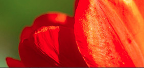 破解补丁版的迷你轰炸机平台